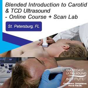 Blended Introduction to Transcranial Doppler and Carotid Duplex/Color Flow Imaging
